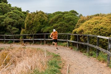 Trail runner training on a rocky path in Wellington, New Zealand, surrounded by native bush and the blue harbour in the distance.