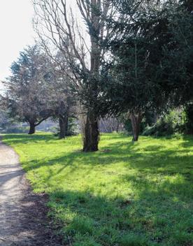 The screen locations for Masterton, Wairarapa. Named best small town in 2017, it features gardens, historic buildings, modern buildings, suburban areas, bridges, and streams.