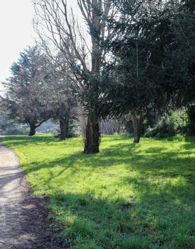 The screen locations for Masterton, Wairarapa. Named best small town in 2017, it features gardens, historic buildings, modern buildings, suburban areas, bridges, and streams.