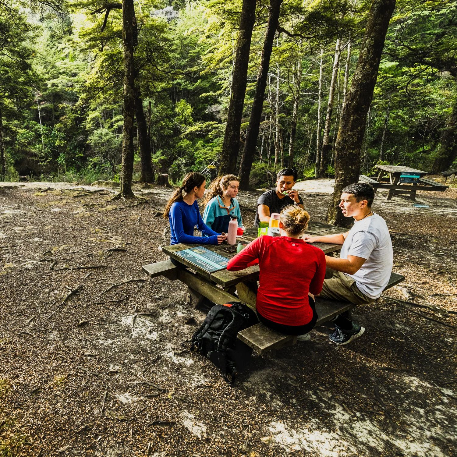five people sat on a bench at Butterfly creek enjoying a picnic amongst the shady trees.