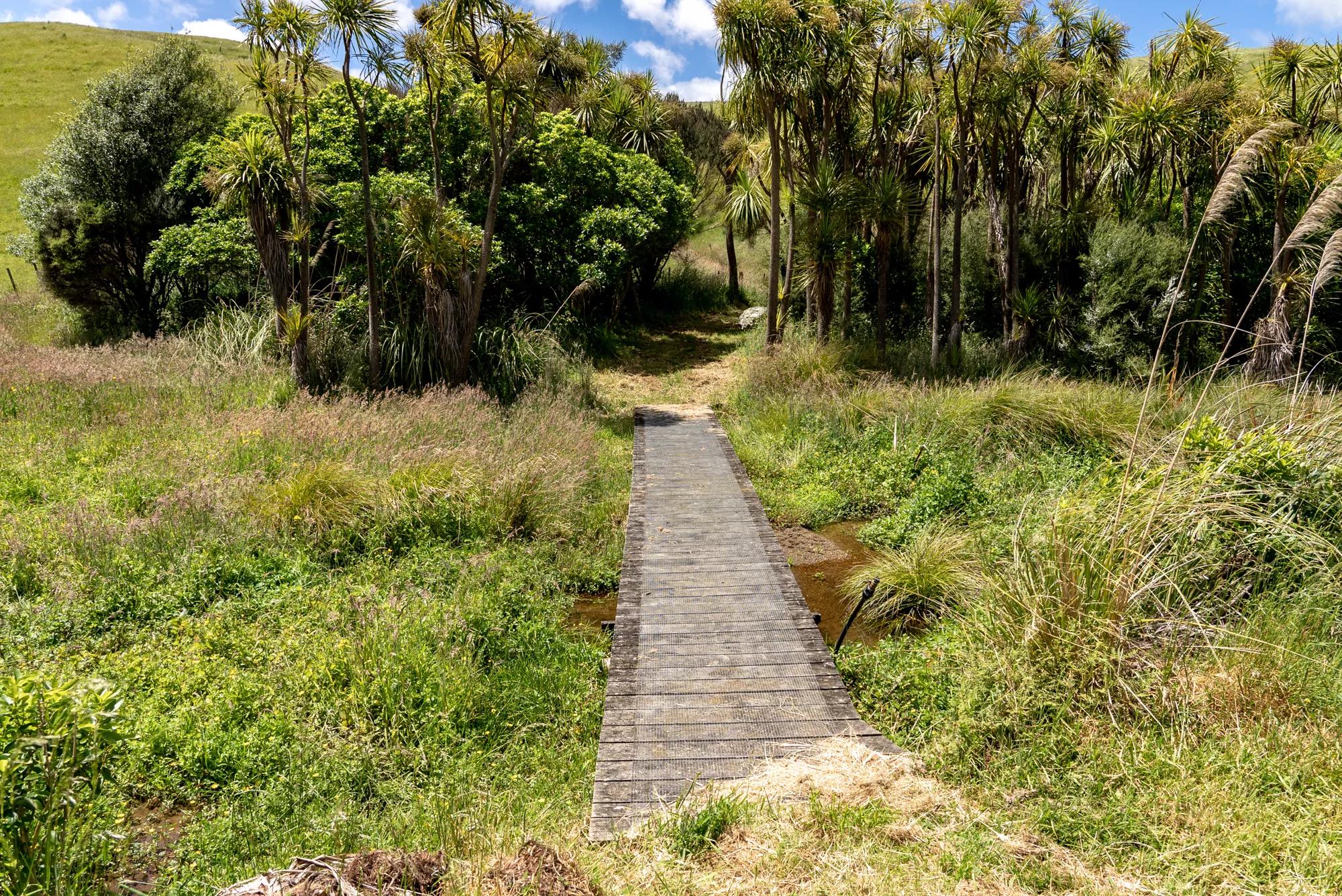 A small wooden bridge goes over a swamp and leads into trees on the Restoration Trail, at Battle Hill Farm.