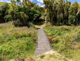 A small wooden bridge goes over a swamp and leads into trees on the Restoration Trail, at Battle Hill Farm.