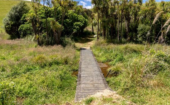 A small wooden bridge goes over a swamp and leads into trees on the Restoration Trail, at Battle Hill Farm.