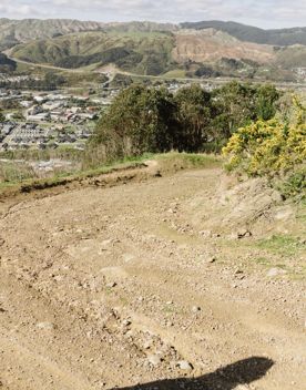 A section of the Rough Justice mountain bike track on Ngā Ara o Rangituhi, in Porirua.