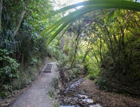 The Percy Scenic Reserve, features walking tracks, lawns, native bushes, gardens, and a large waterfall.