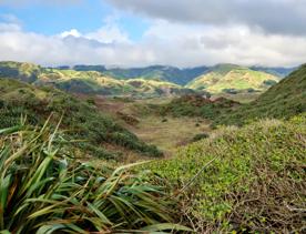 Green rolling hills under a sky of fluffy white clouds.