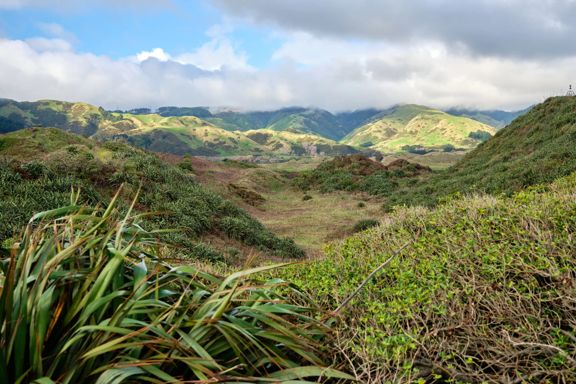 Green rolling hills under a sky of fluffy white clouds.