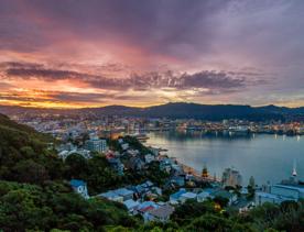 Looking out over Wellington CBD from Mount Victoria during sunset.