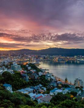 Looking out over Wellington CBD from Mount Victoria during sunset.