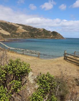 A secluded, sheltered beach located on private farmland. Pikarere Beach is a hidden inlet off Open Bay, just 5 kilometres from Porirua’s city centre.