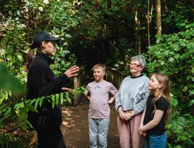 An adult and two kids stop to listen to a Zealandia staff member explain nature facts while on a guided tour through the ecosanctuary.