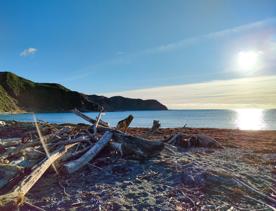 A quaint seaside village at the base of dramatic cliffs, Mākara is just 30 minutes from Wellington’s city centre. On its rugged western coast is a seaside village and a gently sloping, stony beach.