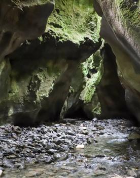 Patuna Chasm, a cave system in a gorge of a river cutting through limestone cliff.