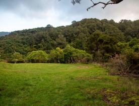 Camp Wainuiomata screen location. Has several buildings and is surrounded by forest and bush.