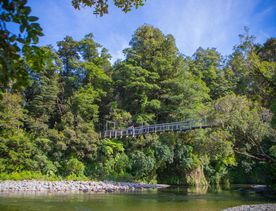 A swingbridge with people on it, crossing over a river at Kaitoke Regional Park and surrounded by forest.