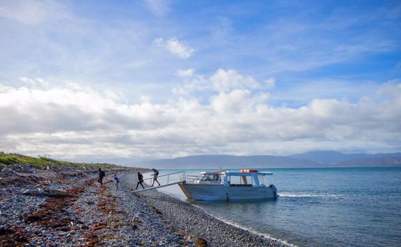 Four people are disembarking from a small boat on a rocky beach under a bright blue sky with white fluffy clouds.