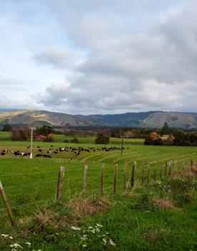 The screen location of Waitohu Valley Ōtaki, features native and exotic forests, pastoral lands, and wetlands.