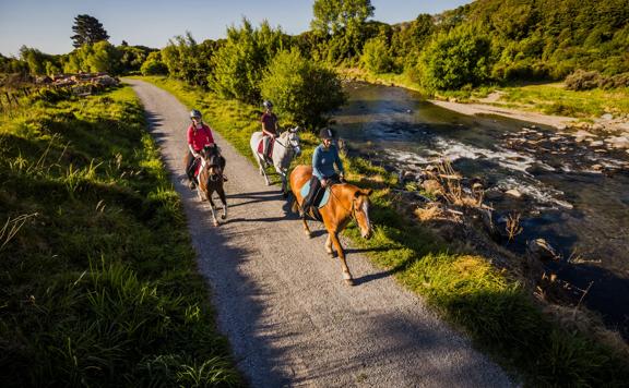 Three people ride on horseback on the Waikanae River Trail.