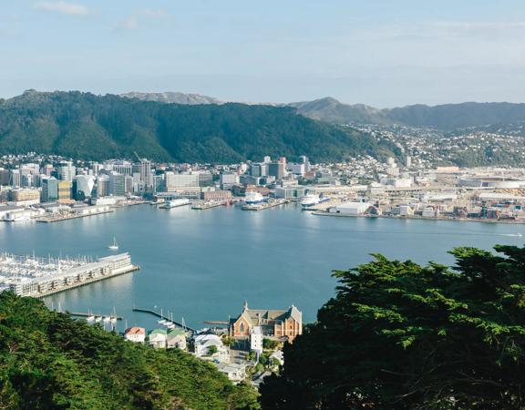 The view of Wellington Harbour from Mount Victoria on a sunny day. 