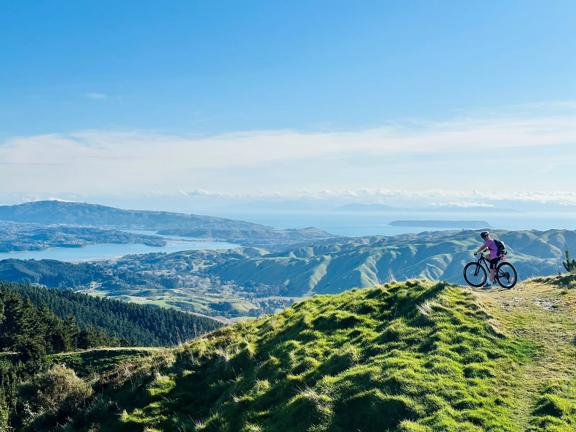 A mountain biker sits at the end of a hill ridge on the Puketiro Loop track looking out towards the Pāuatahanui Inlet.