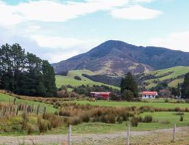 The Kiriwhakapapa Road Tararua Forest Park screen location, featuring walking trails and campsite opportunities in wild, natural landscapes.