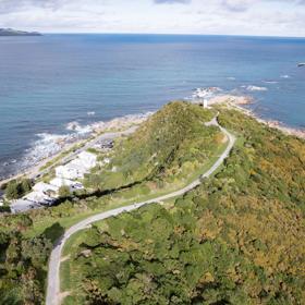 A birdseye view of the Eastern Walkway and the surrounding water, a hiking trail in Wellington, New Zealand.