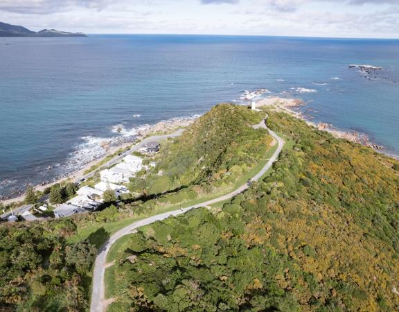 A birdseye view of the Eastern Walkway and the surrounding water, a hiking trail in Wellington, New Zealand.