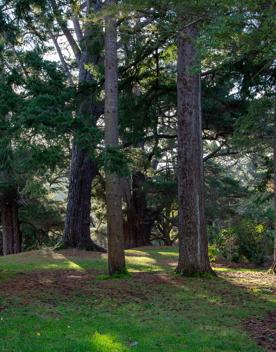 A well-equipped and popular outdoor space for families in Upper Hutt. On the edge of Te Awa Kairangi, Hutt River, Harcourt Park in Upper Hutt is a 40-minute drive north of Wellington.