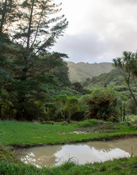 Camp Wainuiomata screen location. Has several buildings and is surrounded by forest and bush.