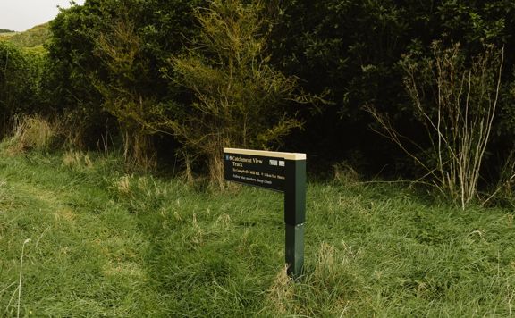 The Catchment View Track in Whareroa Farm, a grassy hill that climbs above the farm with views of the Kāpiti Coast.