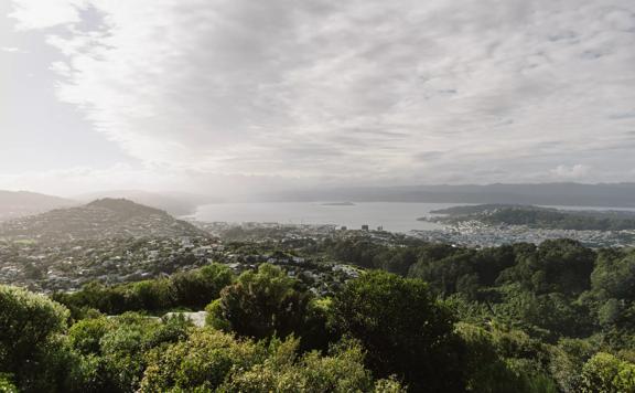 A lookout at the top of Wrights Hill Fortress, looking east toward Wellington city and Hutt Valley.