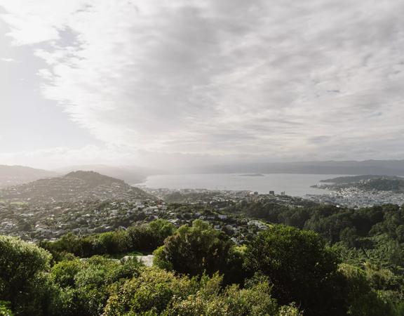 A lookout at the top of Wrights Hill Fortress, looking east toward Wellington city and Hutt Valley.