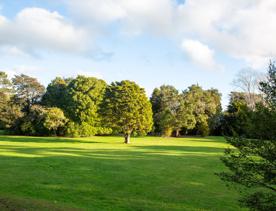 A well-equipped and popular outdoor space for families in Upper Hutt. On the edge of Te Awa Kairangi, Hutt River, Harcourt Park in Upper Hutt is a 40-minute drive north of Wellington.