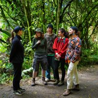 A Zealandia staff member leads a group of four friends on a walking tour in the forest.