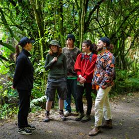 A Zealandia staff member leads a group of four friends on a walking tour in the forest.