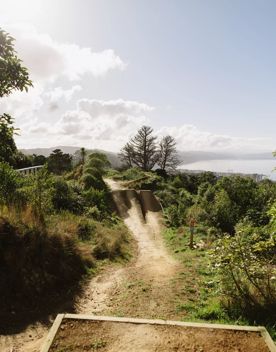 Clay surface Rooler Coaster mountain bike track surrounded by native bush and Wellington harbour in the distance.