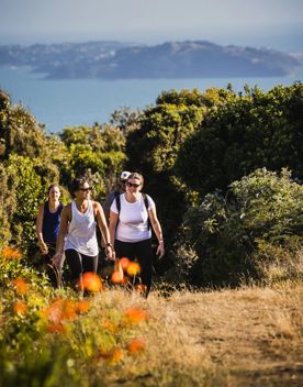 4 people walking along the track to the summit of Belmont Trig Track in Lower Hutt.