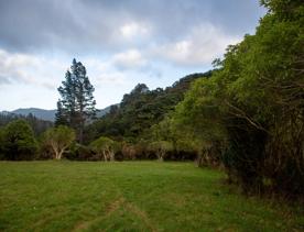 Camp Wainuiomata screen location. Has several buildings and is surrounded by forest and bush.