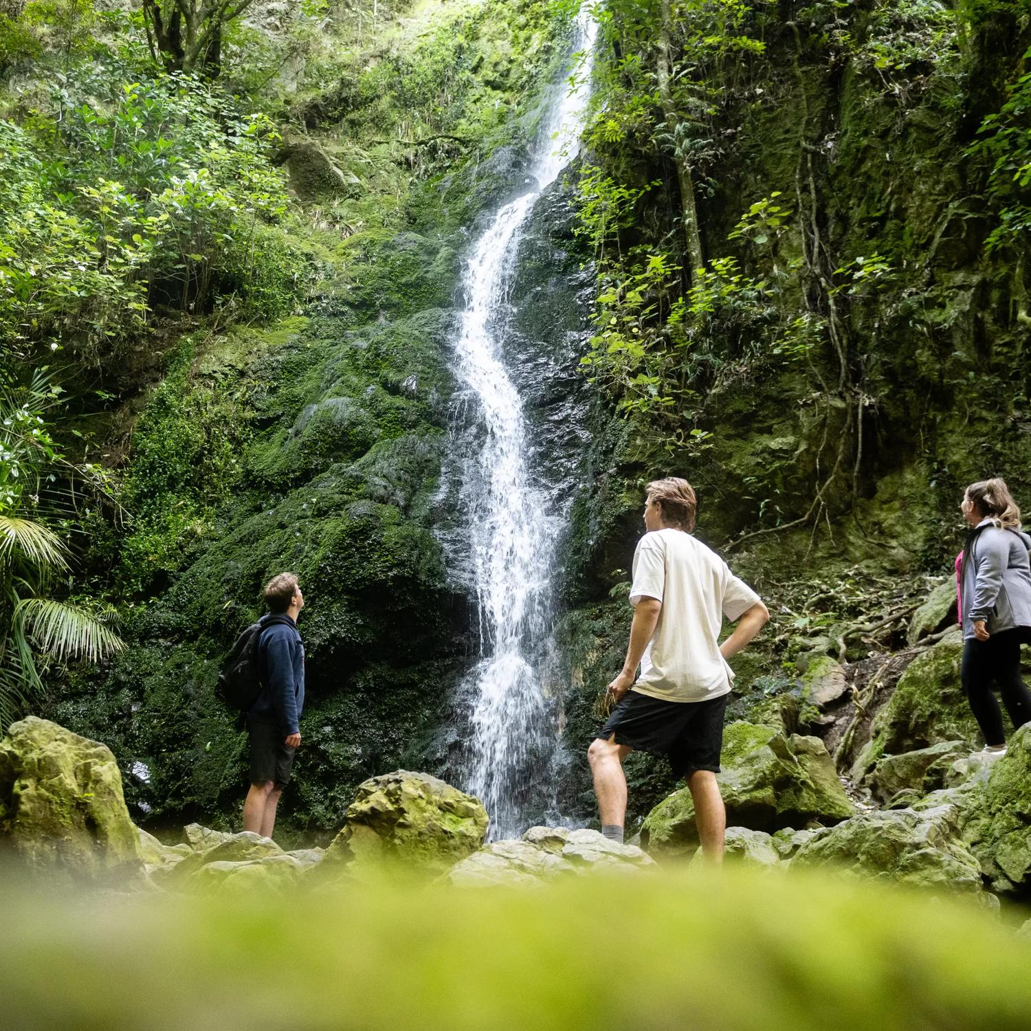 Three people stand at the base of a small waterfall in the Percy Scenic Reserve located in Upper Hutt. 