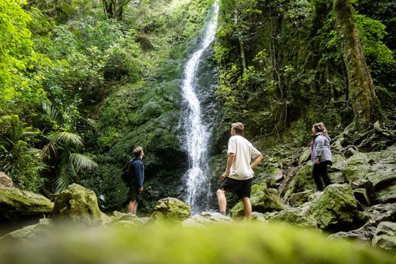 Three people stand at the base of a small waterfall in the Percy Scenic Reserve located in Upper Hutt.