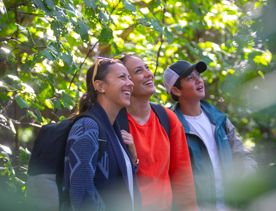 A group of people and tour guide walk along Boulder Bank Loop Track on Kapiti Island.