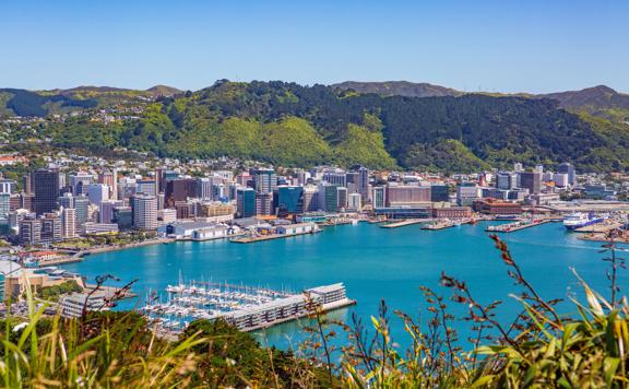 The view of Wellington Central and Wellington Harbour from the lookout on Mount Victoria on a sunny day. 