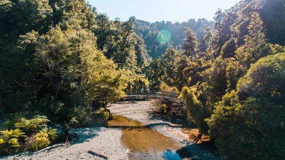 Three people stand and wave from the middle of a small arched bridge over the Ōrongorongo River.