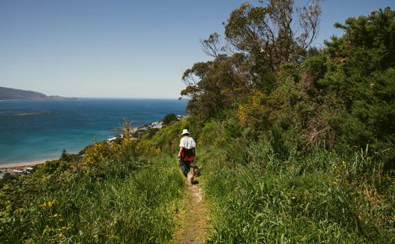 A person wearing a white hat and tee-shirt walks their two dogs on the Southern Walkway.