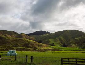 The screen location of Waitohu Valley Ōtaki, features native and exotic forests, pastoral lands, and wetlands.