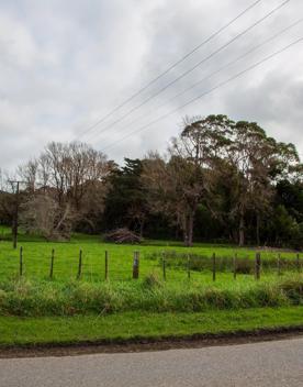 The screen location of Waitohu Valley Ōtaki, features native and exotic forests, pastoral lands, and wetlands.