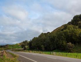 The screen location of Waitohu Valley Ōtaki, features native and exotic forests, pastoral lands, and wetlands.