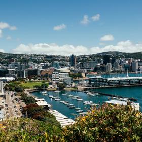 View from Mount Victoria, overlooking Waitaingi Park, Chaffers Marina and the city centre.