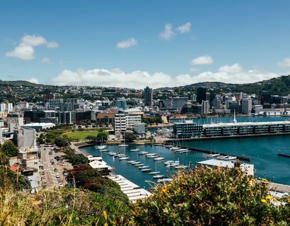 View from Mount Victoria, overlooking Waitaingi Park, Chaffers Marina and the city centre.