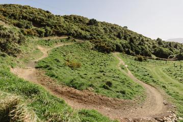A section of the Chimney Sweep trail in Ngā Ara o Rangituhi. For mountain bikers only, the dirt track winds down a grassy hill overlooking Porirua.